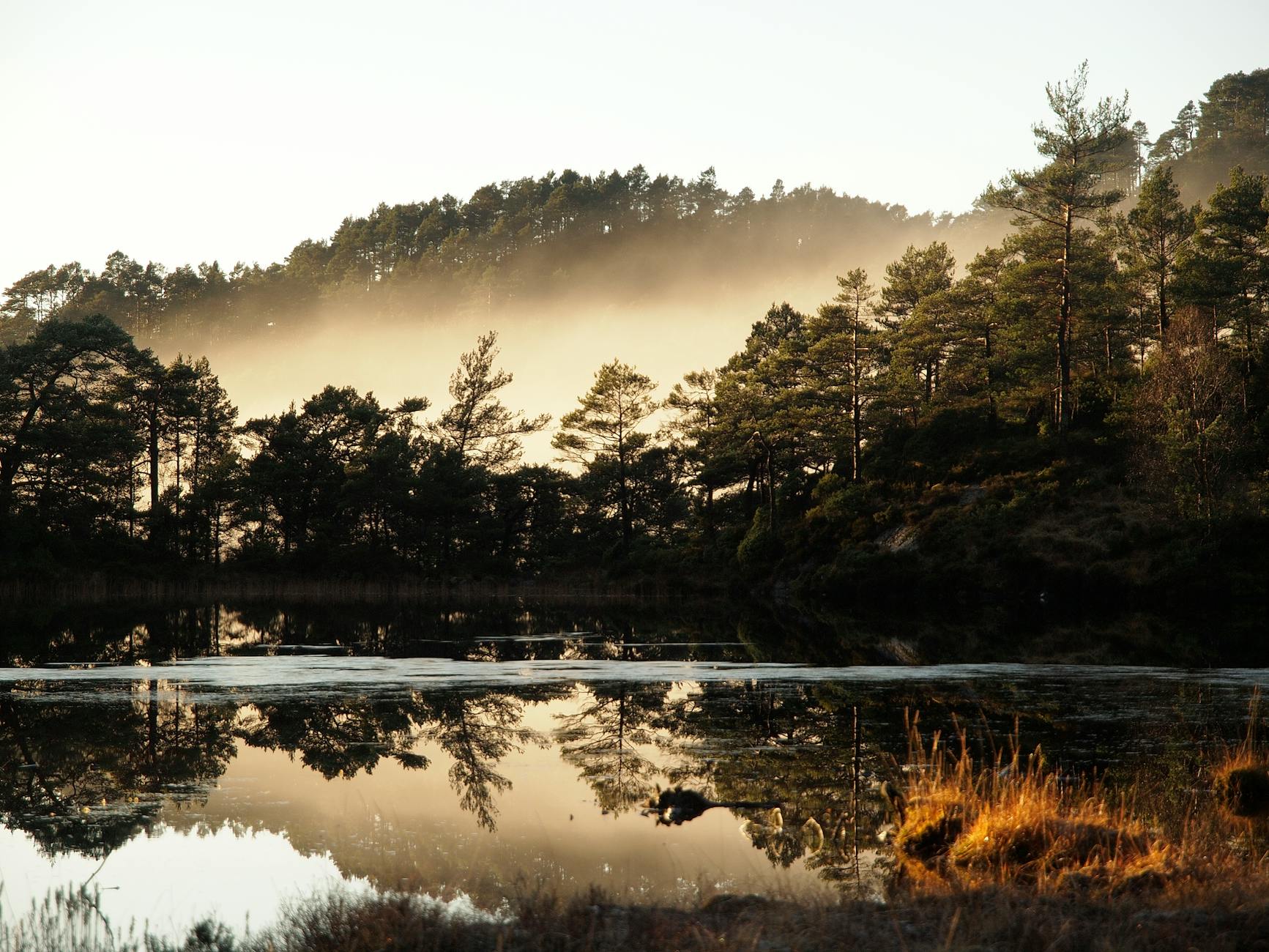 Forellenstub'n am Attersee — Willkommen